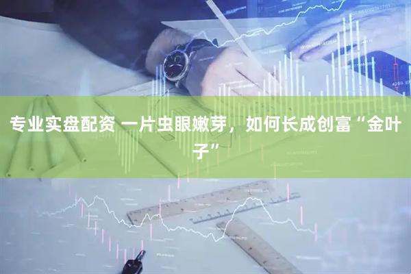 专业实盘配资 一片虫眼嫩芽，如何长成创富“金叶子”