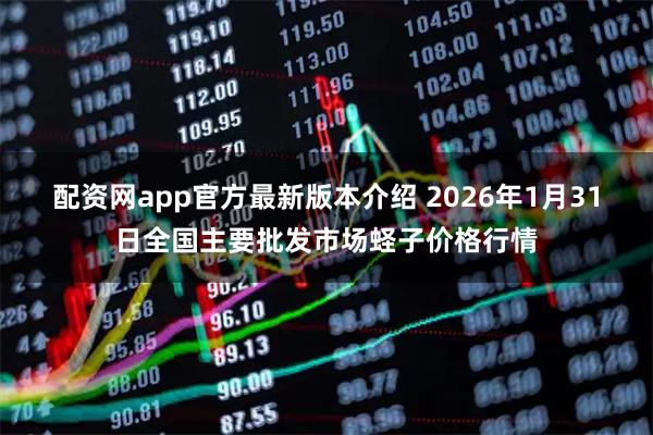 配资网app官方最新版本介绍 2026年1月31日全国主要批发市场蛏子价格行情