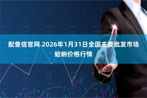 配查信官网 2026年1月31日全国主要批发市场蛤蜊价格行情