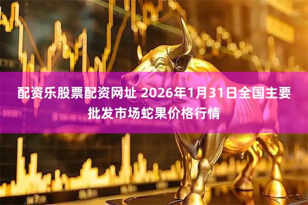 配资乐股票配资网址 2026年1月31日全国主要批发市场蛇果价格行情